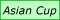 Asian Cup 2011